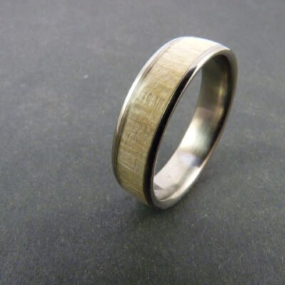 CANOPÉE érable sycomore